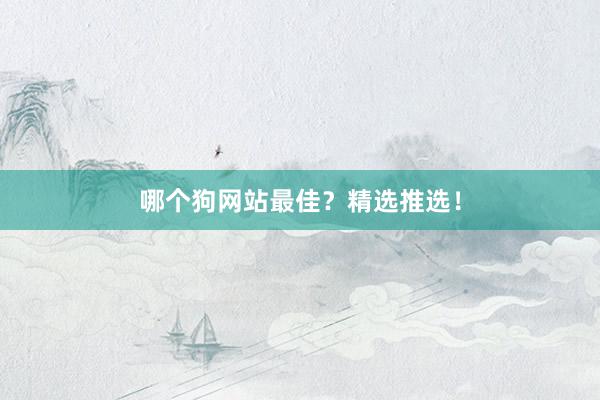 哪个狗网站最佳？精选推选！
